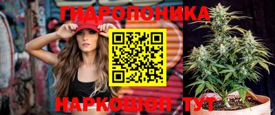 герыч Новокубанск