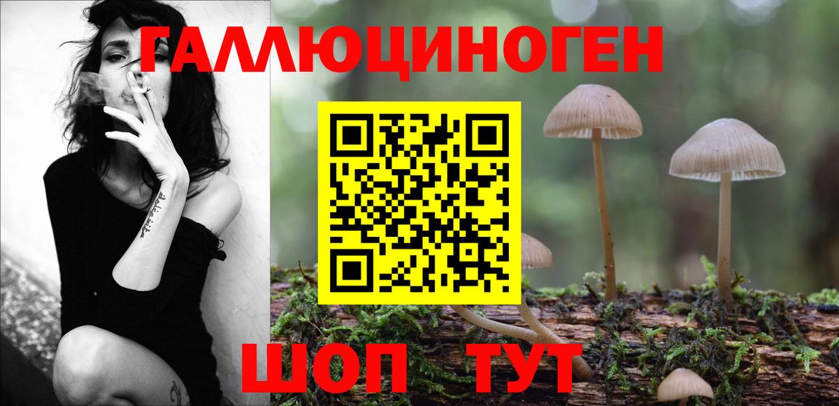 Псилоцибиновые грибы GOLDEN TEACHER  Вход с VPN  Псилоцибиновые грибы Magic Shrooms  Ульяновск 